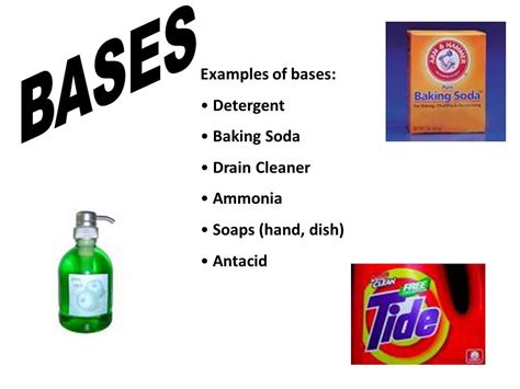 Which Are Examples Of Bases