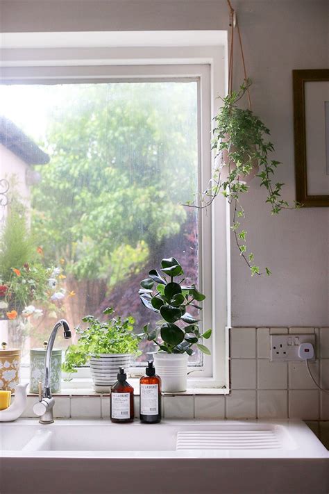 How to Shop for Houseplants - Swoon Worthy | Kitchen plants window, Kitchen plants, Interior plants