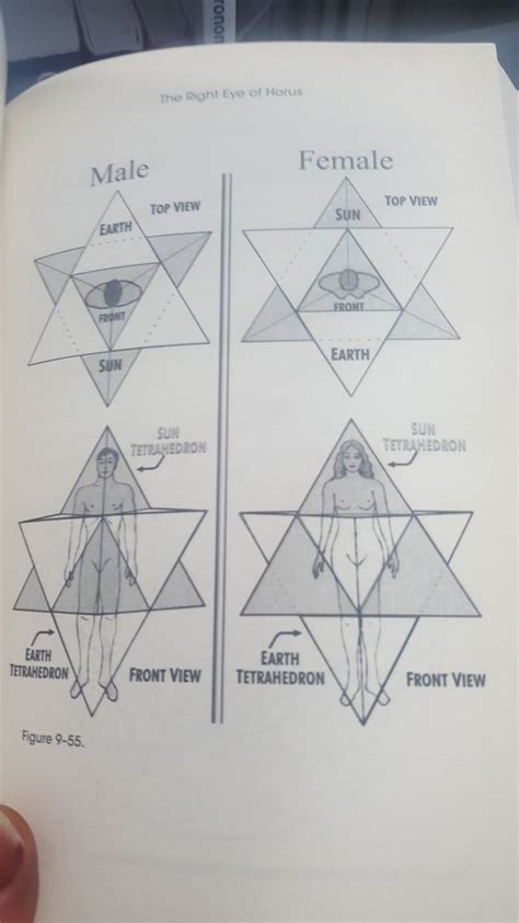 Pin by Migle Tareilytė on Spirit science | Sacred science, Sacred geometry art, Sacred geometry ...