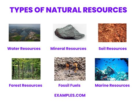 Natural Resources - 20+ Examples, How to Preserve