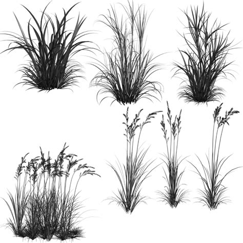 Grass Brush Photoshop - Homecare24