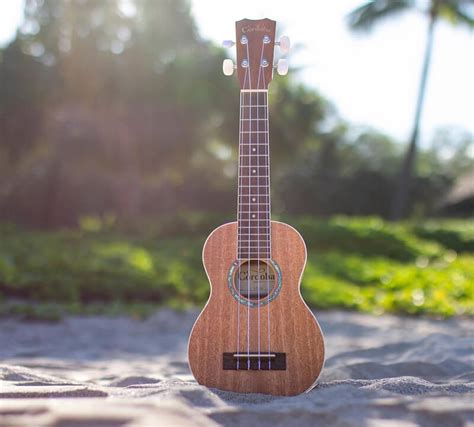 The 6 best ukulele brands in 2024 (and those to avoid)