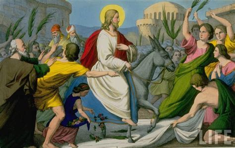 Did Christ Ride 2 Donkeys or 1 Donkey on Palm Sunday (You may be surprised by the symbolism ...