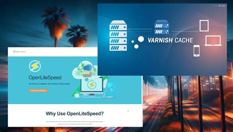 How to Install Varnish for OpenLiteSpeed (Ubuntu) – Server