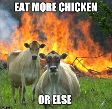 Evil Cows Meme - Imgflip