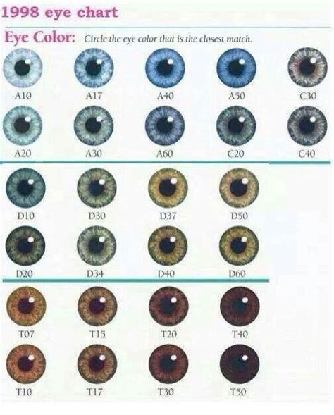 brown eyes eye color facts eye color chart brown eye quotes - pin by ...