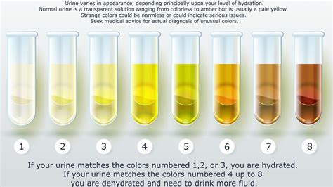 How Much Water Should You Drink During Pregnancy? - The Pregnancy Dietitian