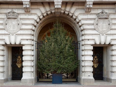 Christmas tree at Buckingham Palace | This Christmas tree is… | Flickr