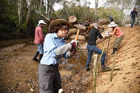 Reviving Butano Creek - Watershed Restoration in the Bay Area - POST