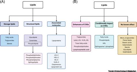 Lipoprotein A Treatment