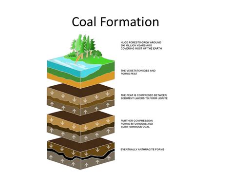 Fossil Fules - Lessons - Tes Teach | Coal formation, Lesson, Teaching