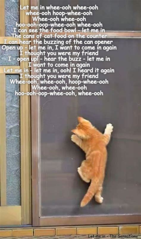 Let me in - Lolcats - lol | cat memes | funny cats | funny cat pictures with words on them ...