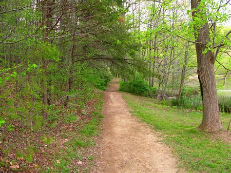 Spring Trail Lake | Forest Trails| Free Nature Pictures by ForestWander Nature Photography