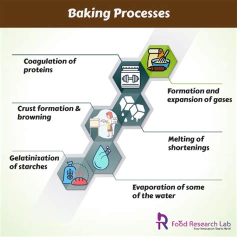 Baking Processes - Guires Food Research Lab