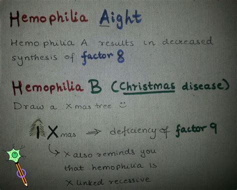 clotting cascade mnemonic - Google Search | Nursing school, Nursing ...