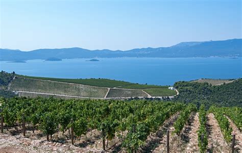 Croatian wine regions - Country Croatia | Winetourism.com