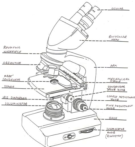 Blank Diagram Of Microscope