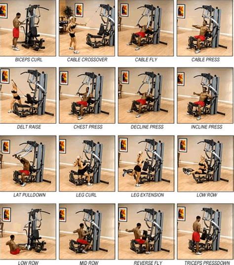 Multi gym instructions | Nutrition and Fitness | Pinterest | Multi gym, Gym and Exercises