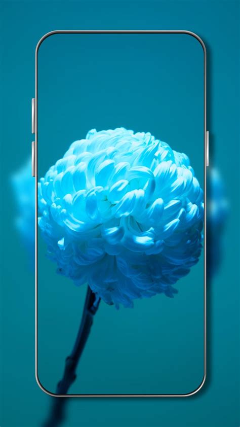 Flowers Wallpaper APK for Android Download