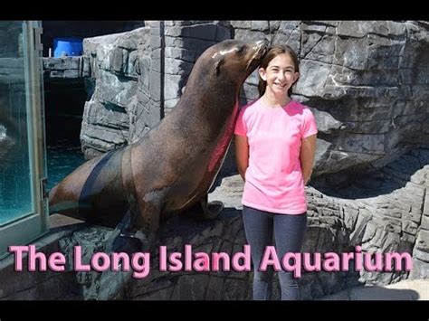 Sea Lion Tricks at the Long Island Aquarium - YouTube