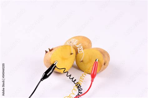 Potato battery on white background. Alternative green energy generated ...