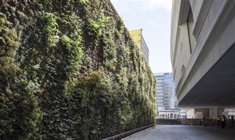 Nation’s largest green wall of native plants breathes life into SFMOMA | Inhabitat - Green ...