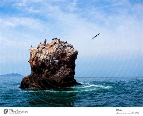 bird island - a Royalty Free Stock Photo from Photocase