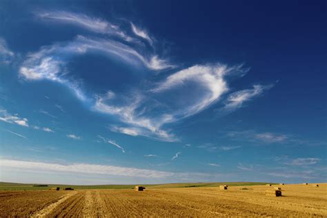 Hay Field Photograph by Michaela Gunter - Fine Art America