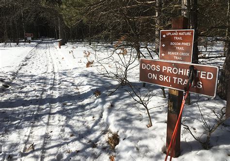 North Higgins Lake SP: Beaver Creek Trail