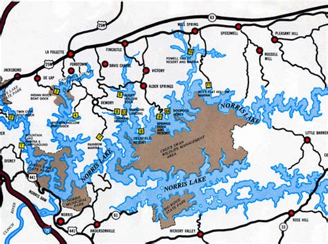 Norris Lake Map Svg