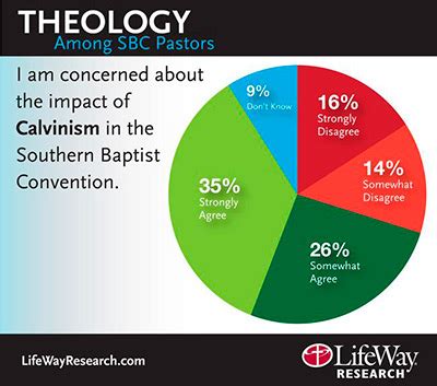 Poll: SBC pastors have 'mix of beliefs' about Calvinism - Baptist Courier