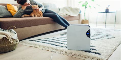 The 7 Best Dehumidifiers for Your Home