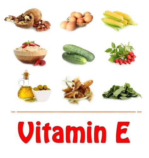 Vitamin E Rich Foods : 15 Amazing List - You Must Know | Styles At Life