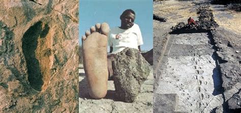 The oldest human footprints by continent. laetoli | Oldest human ...