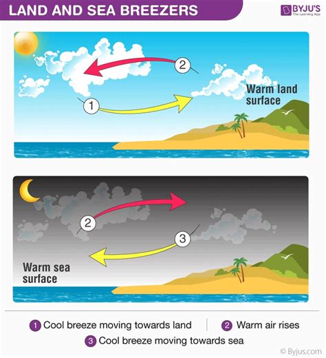 What Is Convection? - Definition, Types, Examples