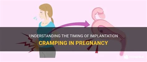 Understanding The Timing Of Implantation Cramping In Pregnancy | ShunChild