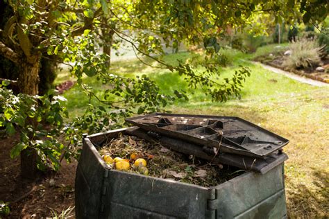 Hot Composting - Turn Food Waste Into Compost In Record Time