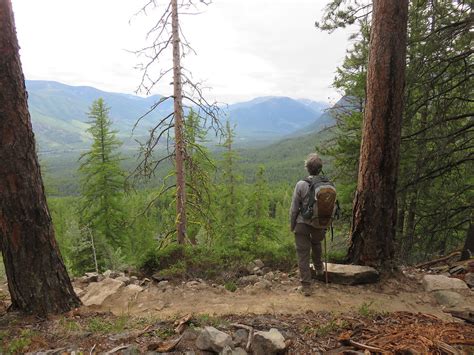 Kimberley Nature Park | Welcome To The Largest Municipal Park In BC