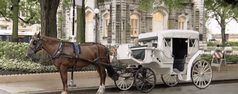 Chicago bans horse-drawn carriage rides, after several years of concerns