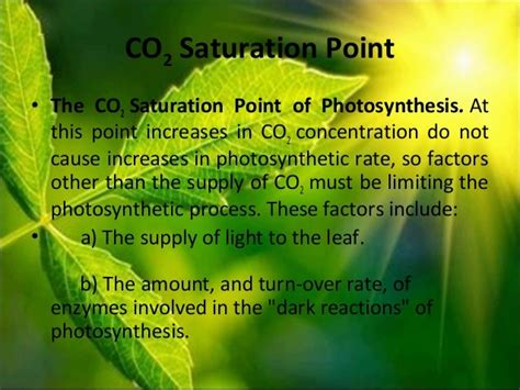 🎉 Internal factors affecting photosynthesis. 15 Main Factors Affecting ...