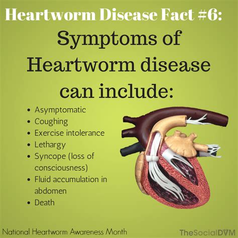 Heartworm Disease Fact 6 | Heartworm | Pinterest | Pet health, Veterinarians and Dog breeds