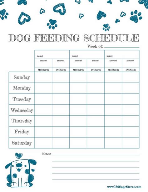 Training Schedule, Dog Training Tips, Puppy Training, Puppy Feeding ...