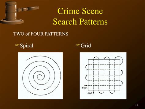 PPT - FORENSIC SCIENCE PowerPoint Presentation, free download - ID:1127701