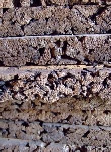 Cork insulation: Applications, Properties, Advantages & Cost