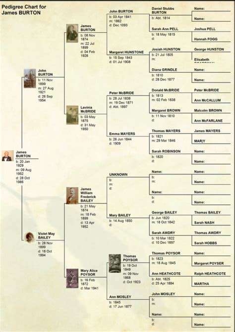 Burton Family Tree - Looking Back in Time