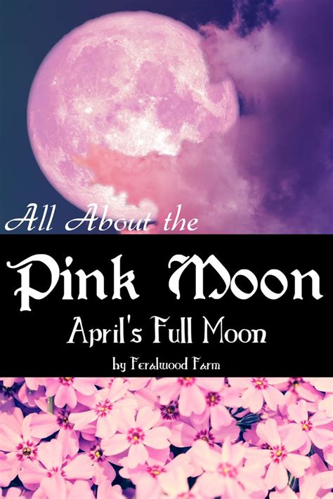 All About the Pink Moon | Pink moon, Pink moon meaning, Moon activities