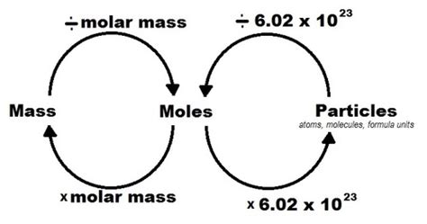 Stanek's Mole Conversions Flashcards | Quizlet