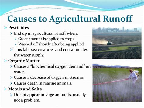 Agricultural Runoff Diagram