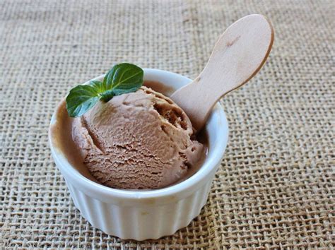 Chocolate coconut milk ice cream