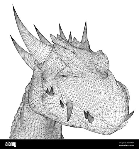 Dragon head wireframe from black lines isolated on white background. Front view. 3D. Vector ...